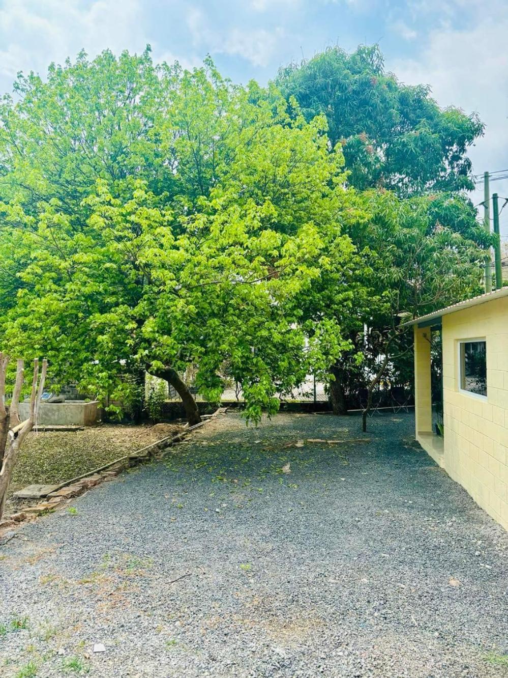 Hostal Camila'S Tamanique Esterno foto
